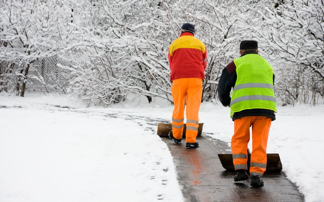 A Guide to Different Types of Snow Shovels