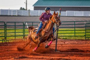 Equestrian Dust Suppression