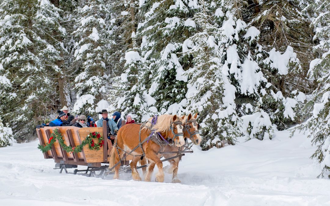 Whitefish Dude Ranch KAGEs Massive Snowfall